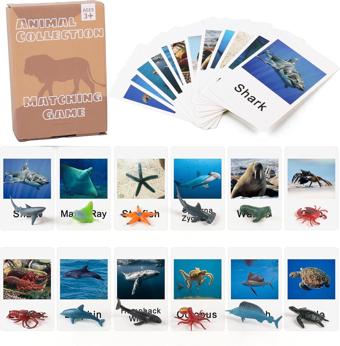 Marine animal matching game cards by X With Love, featuring colorful marine creatures for preschool educational learning activities.
