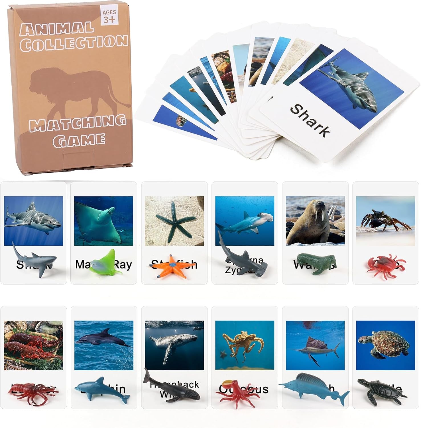 Marine animal matching game cards by X With Love, featuring colorful marine creatures for preschool educational learning activities.