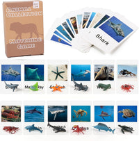 Marine animal matching game cards by X With Love, featuring colorful marine creatures for preschool educational learning activities.