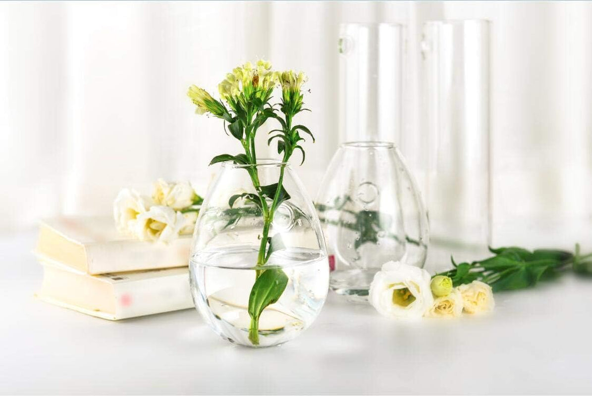 Two egg-shaped glass propagation stations for hydroponic plants, perfect for home, office, or garden decor.