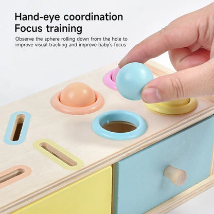 Montessori Wooden Early Learning Toys Infant Coin Ball Busy Drum Sensory Toy Early Education Coin Box Permanent Box Round Box