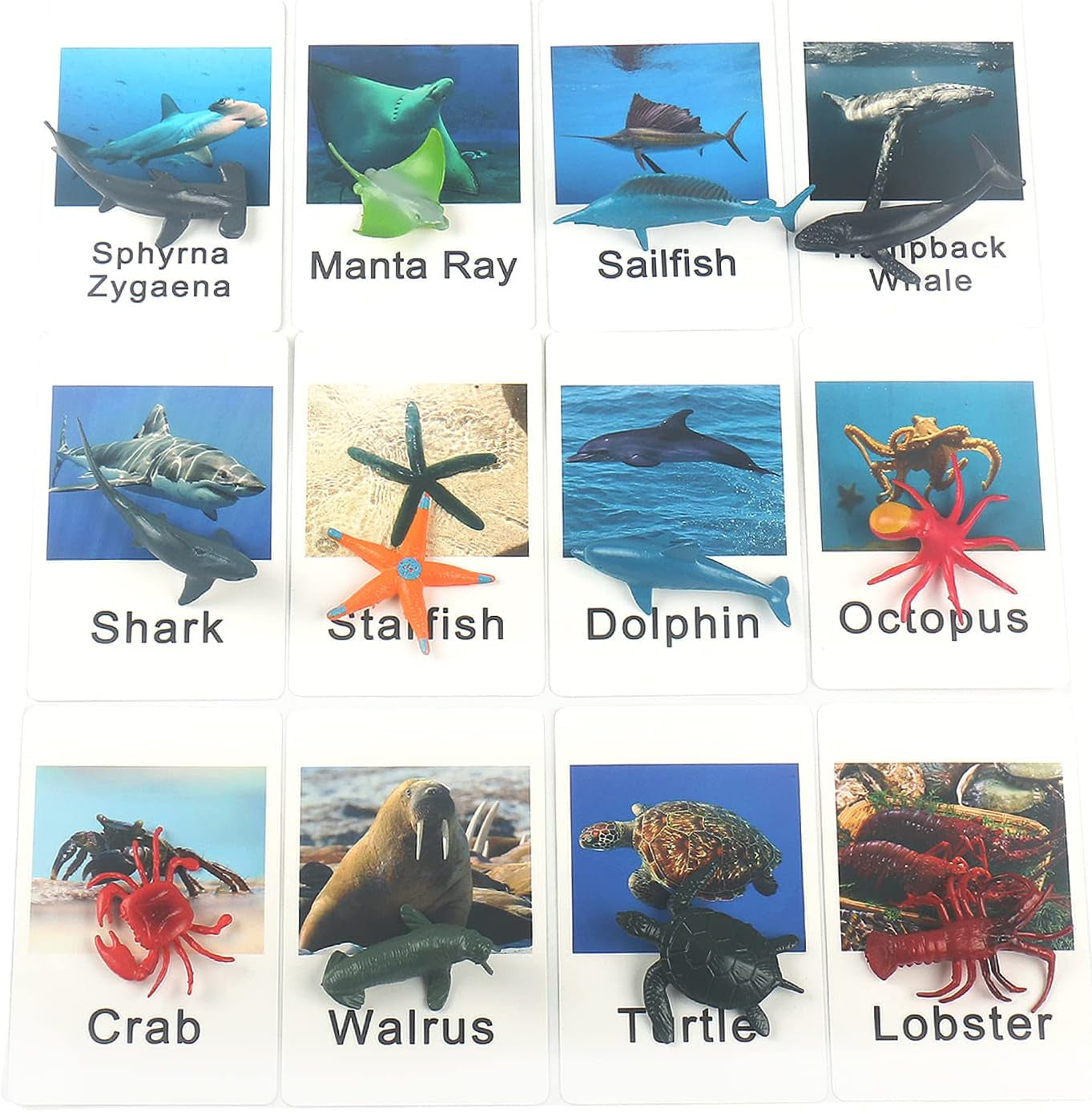 Set of Montessori marine animal match game cards for toddlers, featuring colorful marine animals for educational preschool learning.