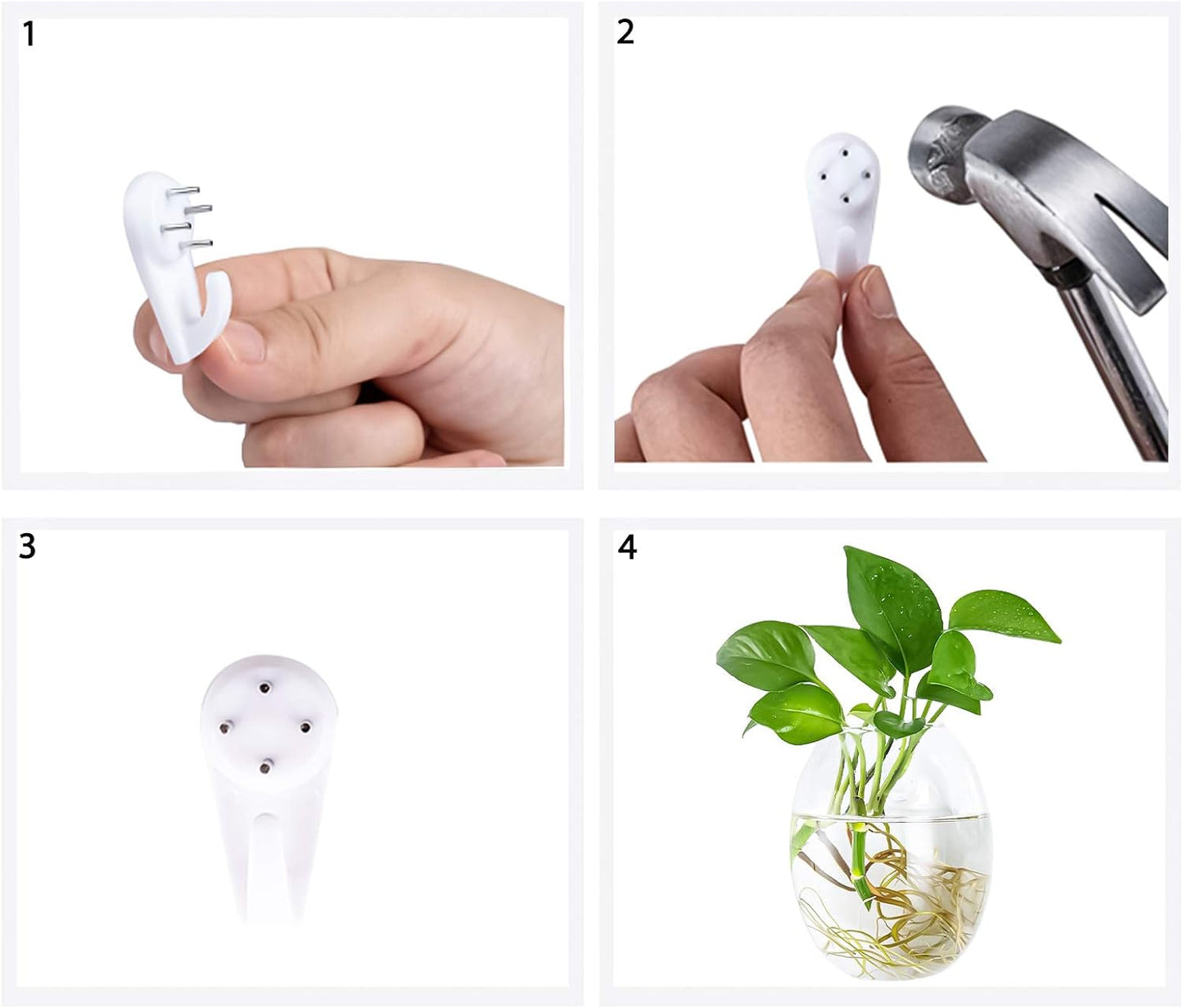 Pair of egg-shaped glass propagation stations for hydroponic plants, ideal for home, office, or garden decor.