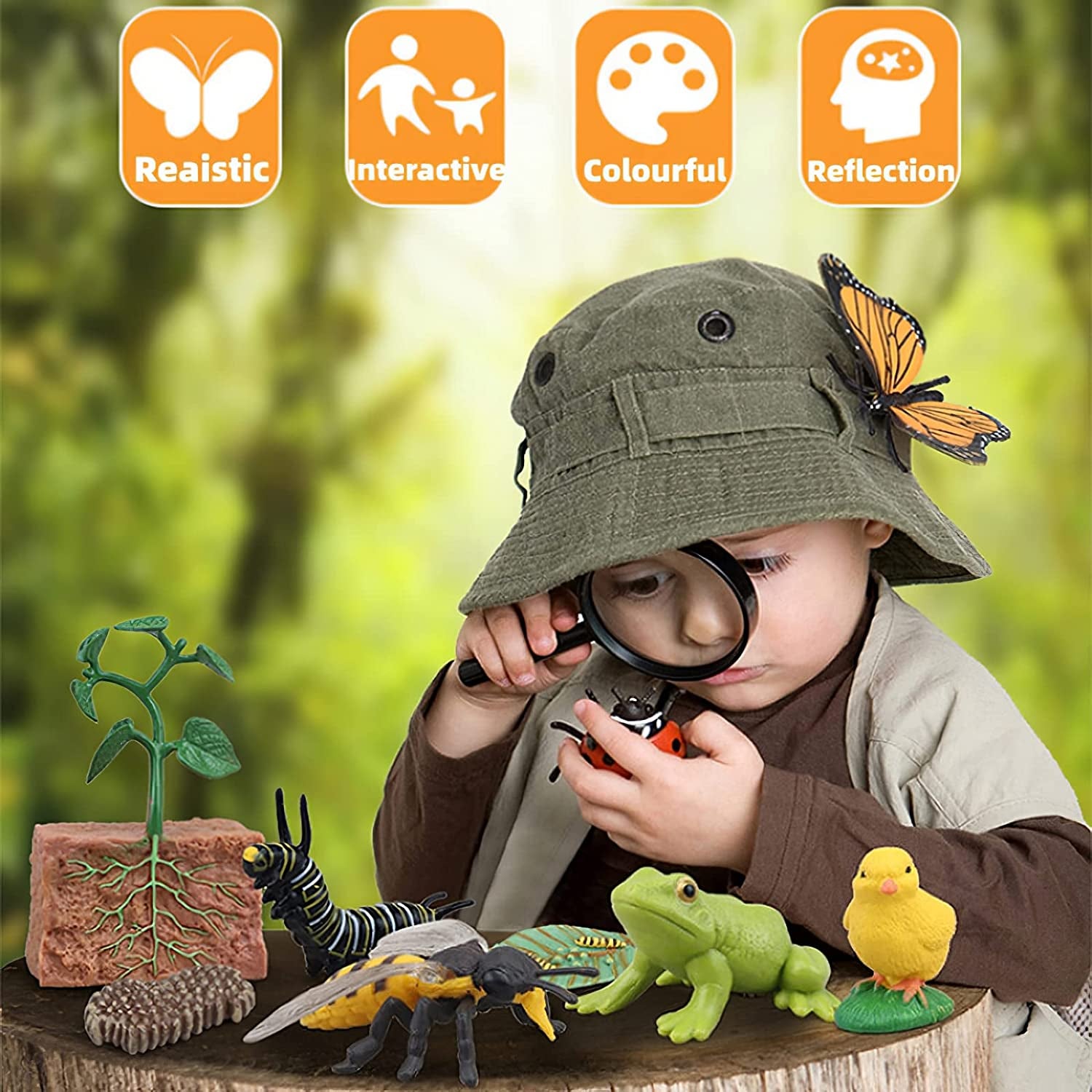 Montessori Frog Life Cycle toy by X With Love featuring realistic plastic frog figurines and flash cards showing tadpole to frog stages