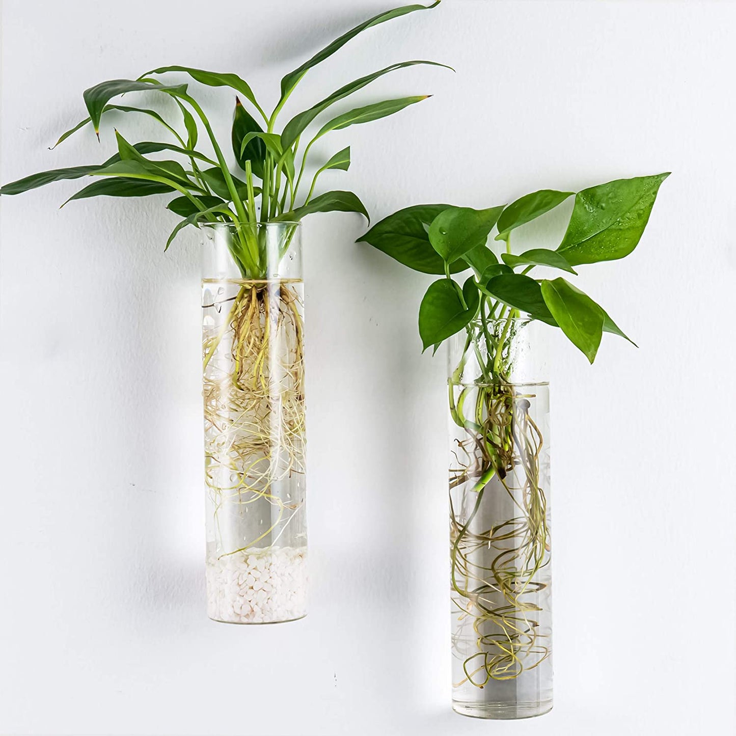 Wall-mounted plant terrarium propagation station with four hanging glass tubes for hydroponic plants and decorative indoor wall display.