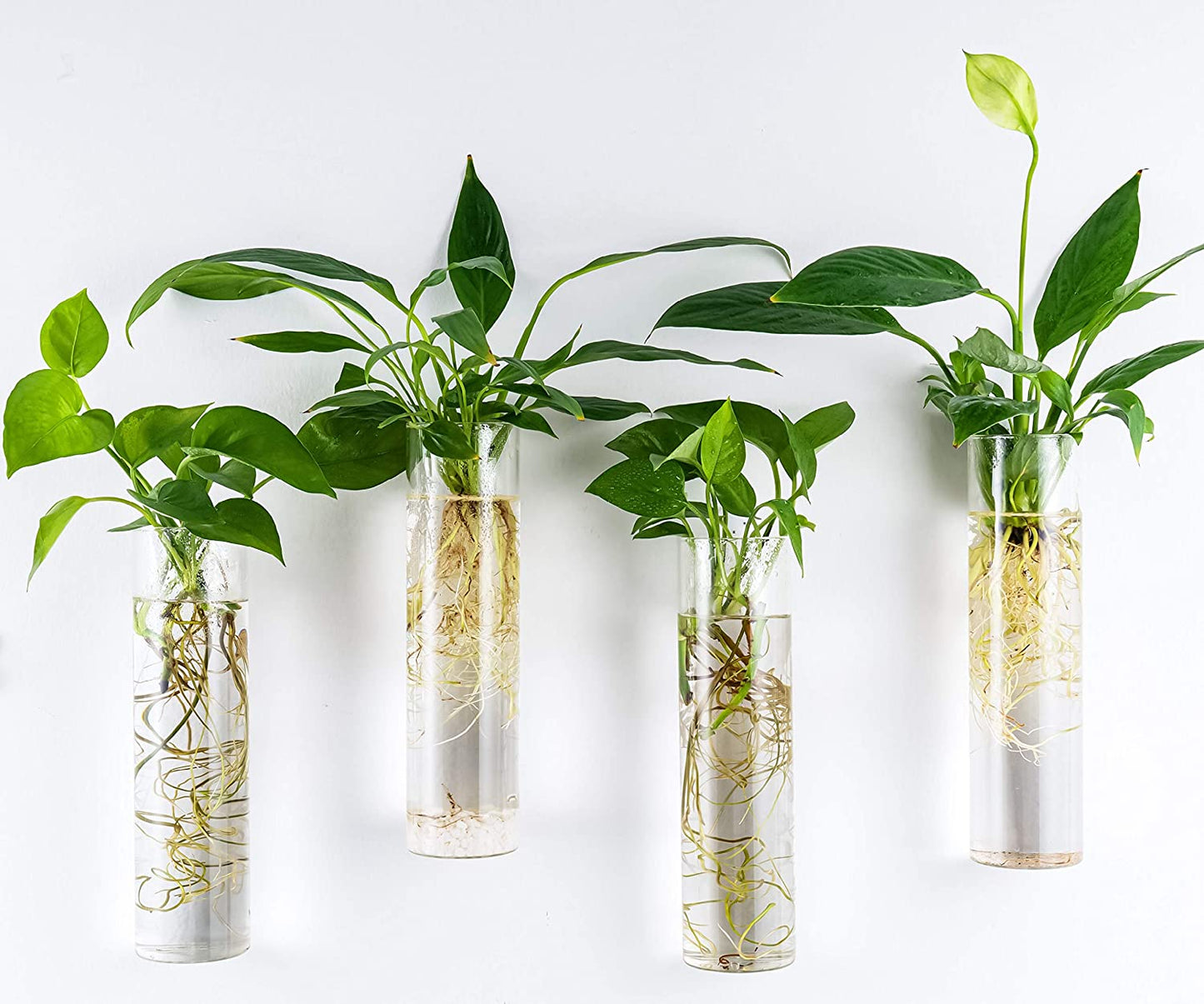 Wall-mounted plant terrarium with four hanging glass tubes for hydroponic plants, ideal for indoor wall decor and propagation.