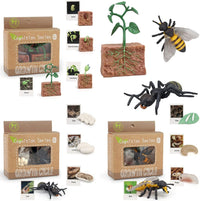 X With Love Montessori life cycle animal figurines including bee, ant, and plant models for preschool learning and educational play.