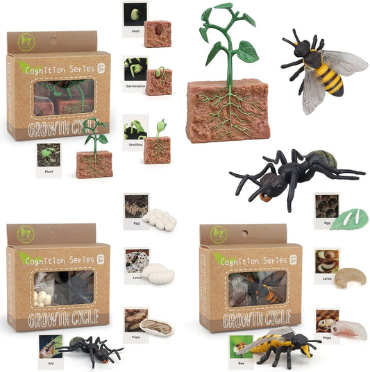 X With Love Montessori life cycle animal figurines including bee, ant, and plant models for preschool learning and educational play.