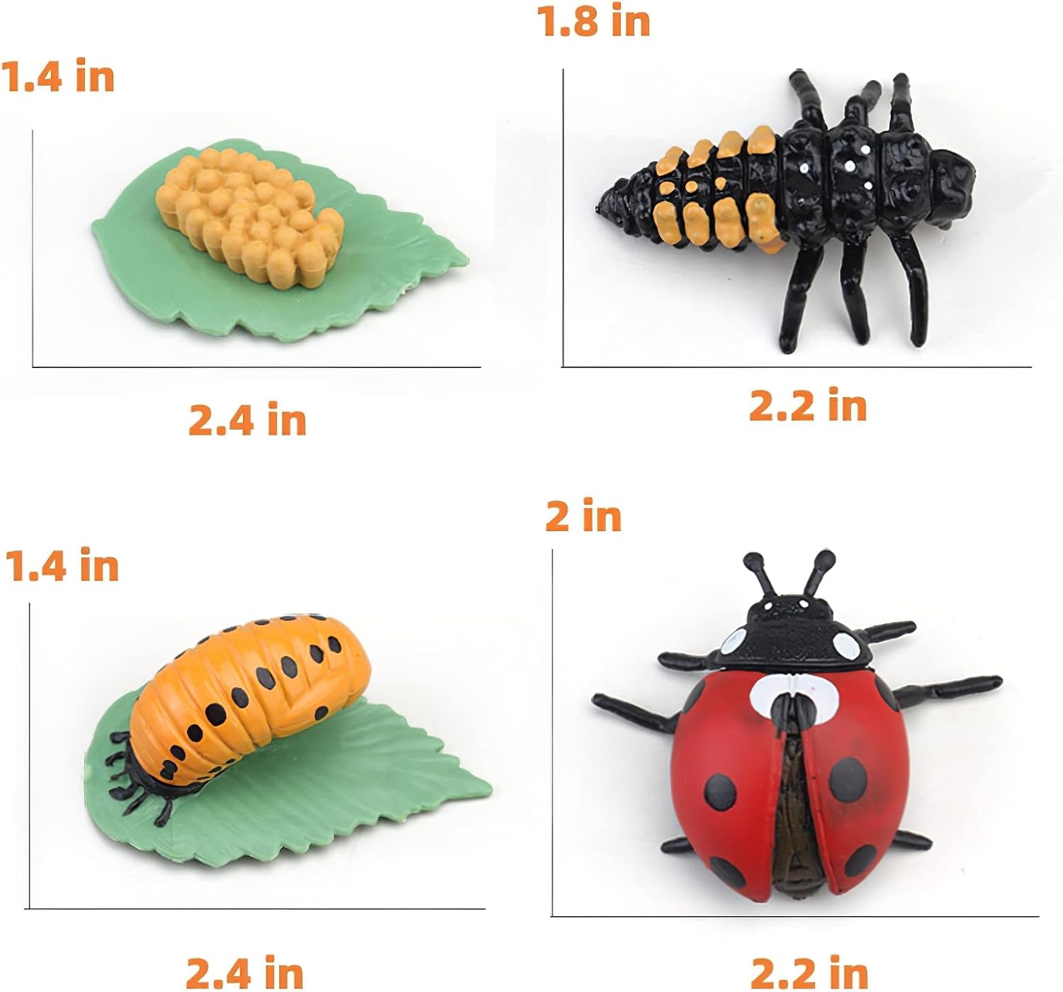 Realistic ladybug Montessori life cycle animal figure with matching flash cards for educational play, suitable for children aged 3 and up.