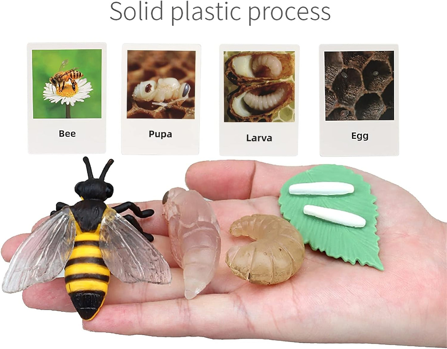 X With Love Montessori life cycle animal figurines set showing plastic insect stages including plant, bee, and ant for preschool learning.