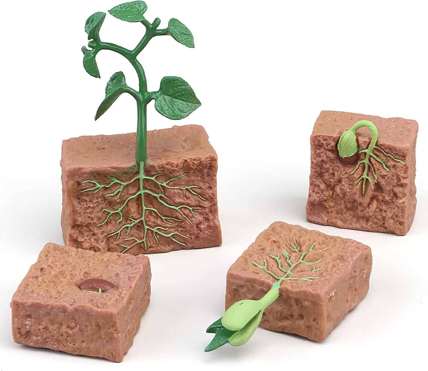 Realistic plant life cycle animal figures with flash cards from X With Love, educational toy for children 3+ learning about animals.