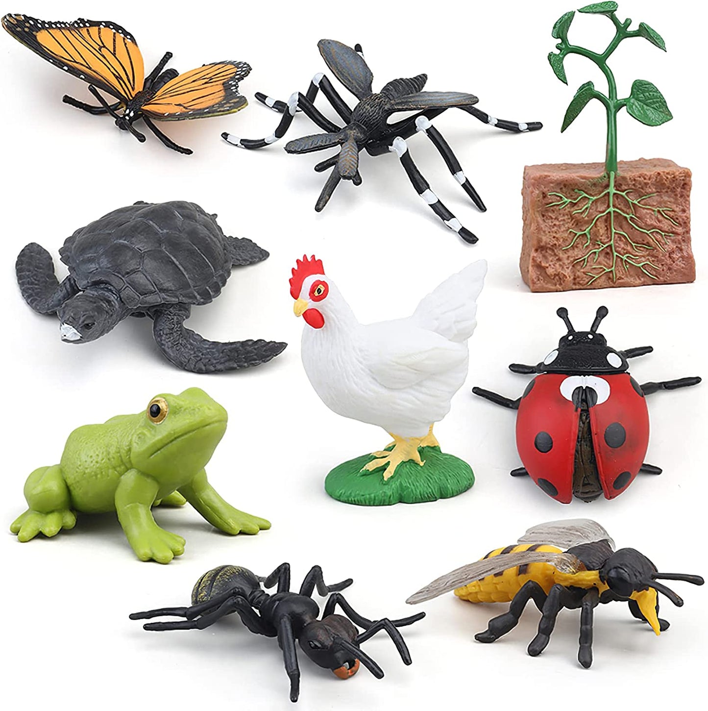 Montessori Frog Life Cycle toy by X With Love with realistic plastic frog, tadpole, and insect figurines, includes flash cards for learning.