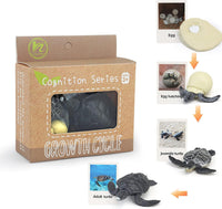 Realistic turtle animal figure from Montessori Life Cycle set with flash cards, educational toy for children aged 3+