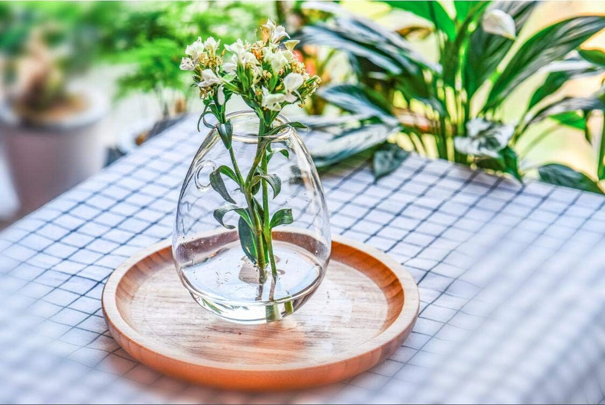 Two egg-shaped glass propagation stations for hydroponic plants, ideal for home, office, or garden decor.