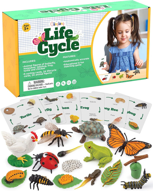 Realistic Montessori chicken life cycle figurine set with flash cards for toddlers learning about chicken development stages.