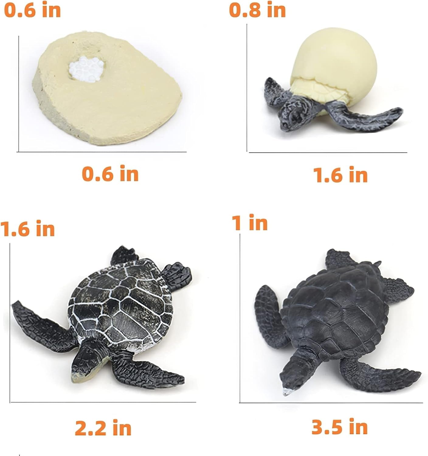 Realistic Montessori turtle animal figure with matching flash cards for educational play and learning about animal life cycles for children.
