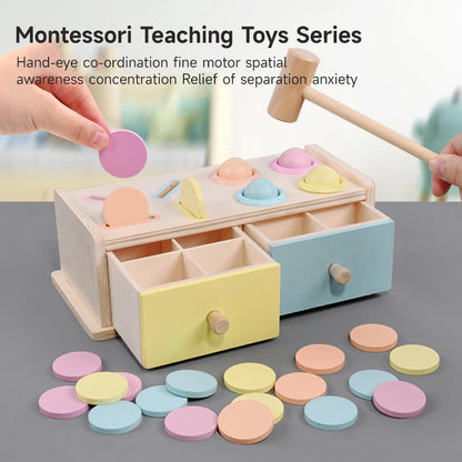 Montessori Wooden Early Learning Toys Infant Coin Ball Busy Drum Sensory Toy Early Education Coin Box Permanent Box Round Box