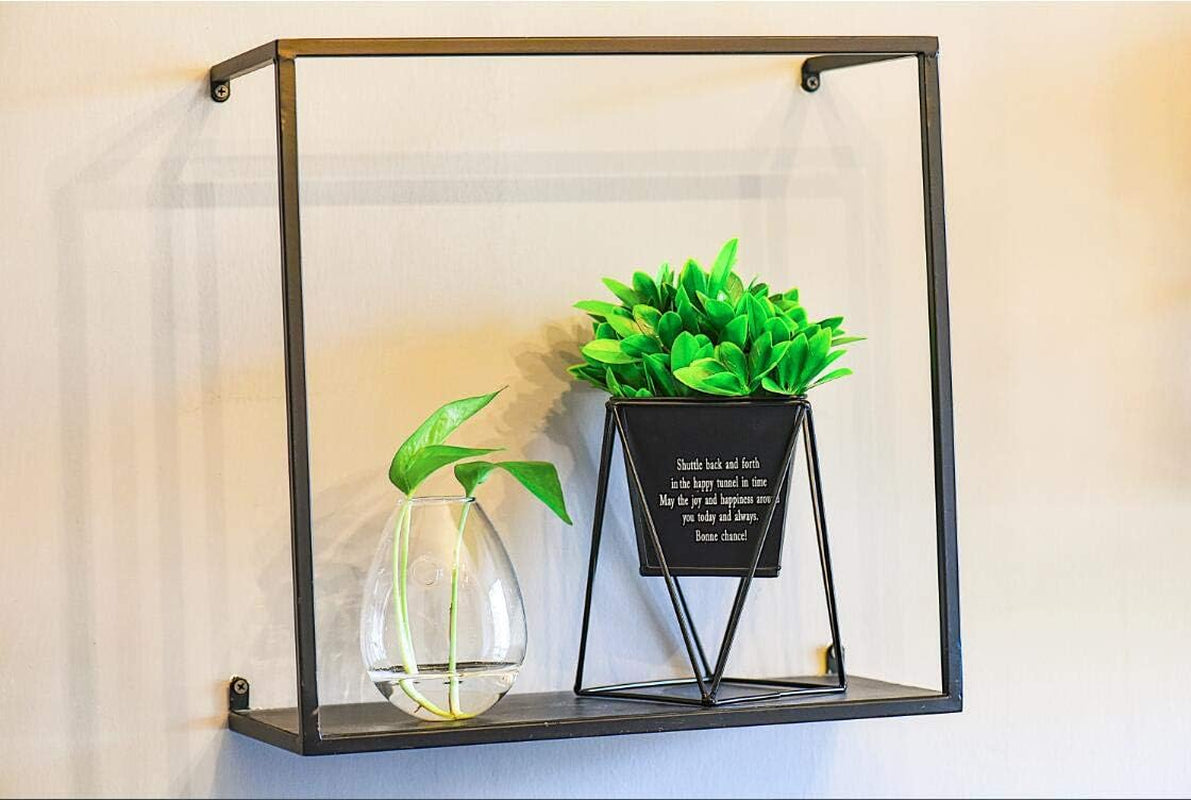 Two egg-shaped glass propagation stations for hydroponic plants, ideal for home or office plant propagation and decor.
