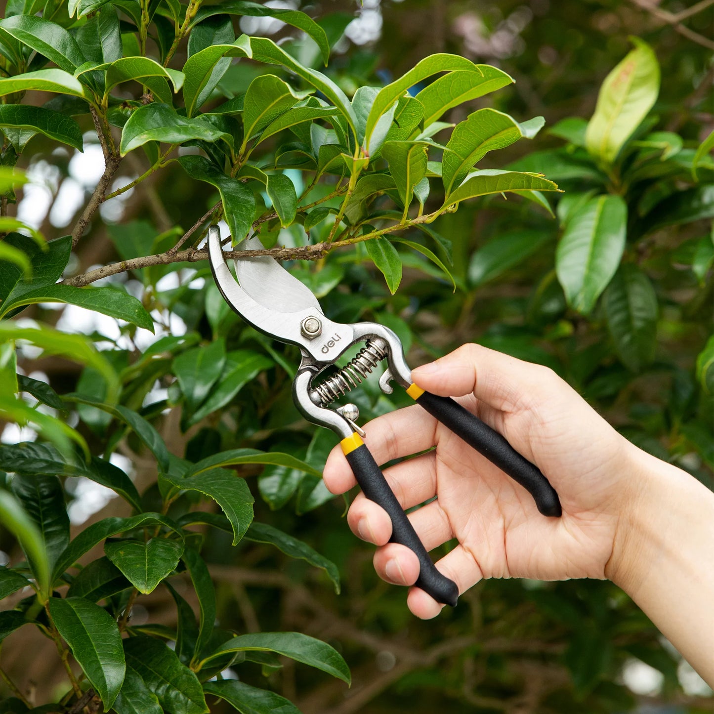 Black 8-inch bypass garden pruning shears by X With Love, featuring sharp garden scissors and clippers for precise pruning.
