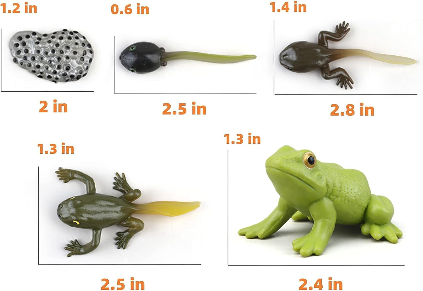 Montessori Frog Life Cycle kit with flash cards, realistic plastic frog and insect figurines showing tadpole to frog stages.