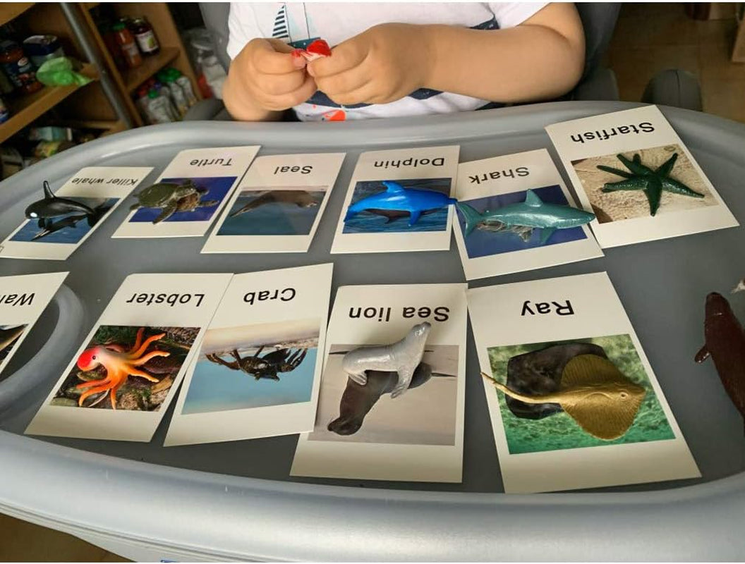 Marine animal matching game cards for toddlers, featuring colorful Montessori-inspired marine creatures for educational learning.