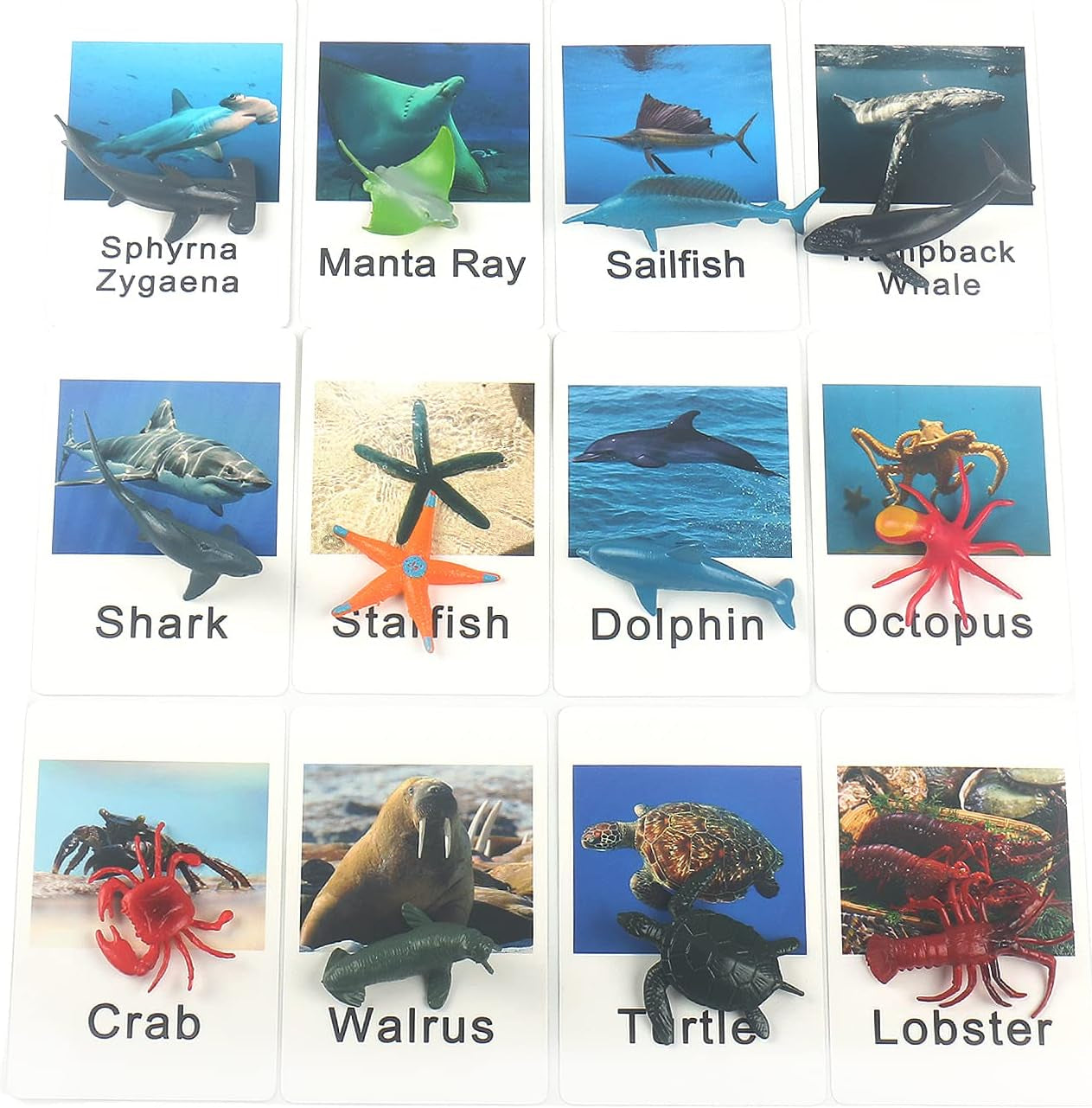 Marine animal matching game cards for toddlers, colorful Montessori learning toy featuring marine animals for preschool education.