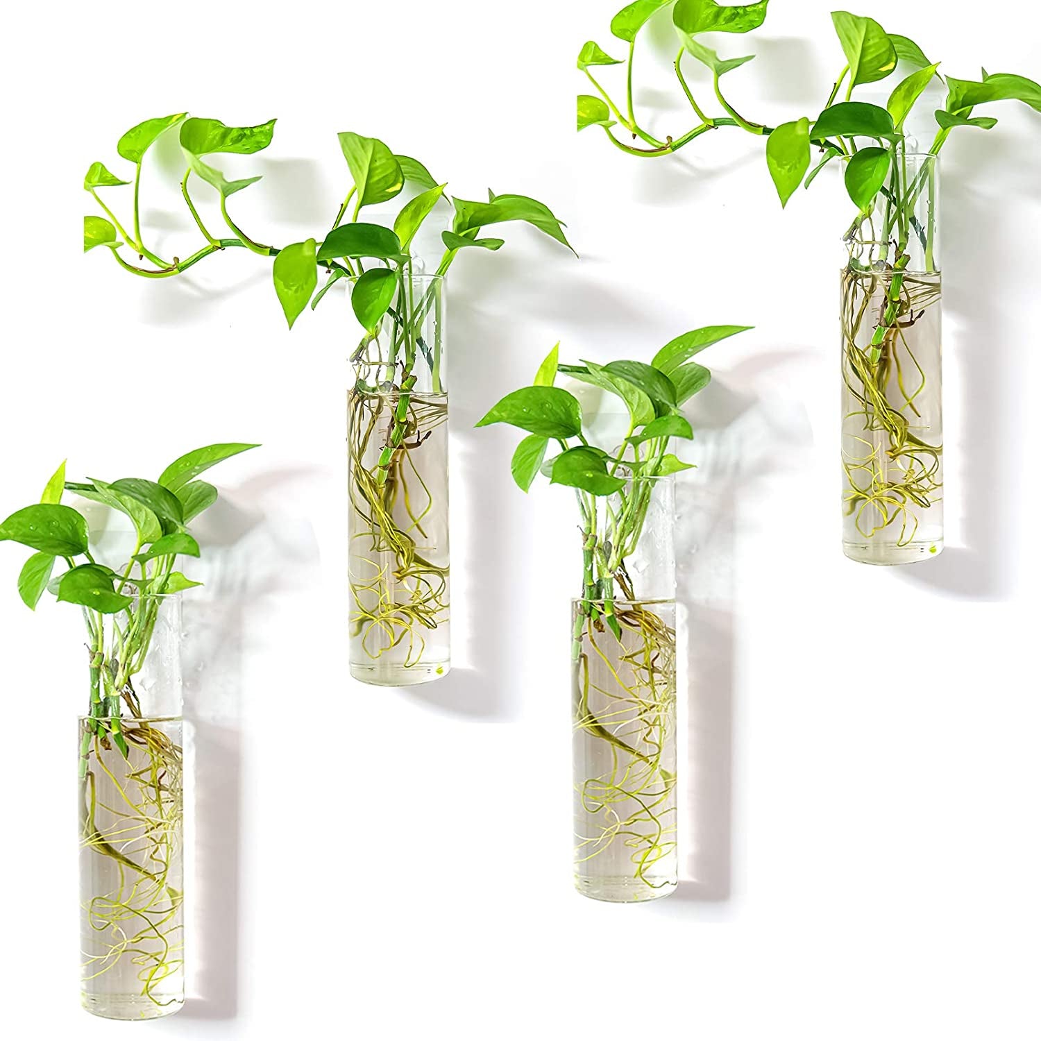 Wall-mounted plant terrarium with four hanging glass tubes for indoor hydroponic plants, ideal for bathroom, office, or living room decor.