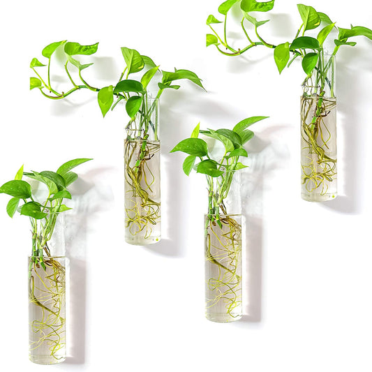 Wall-mounted plant terrarium with four hanging glass tubes for indoor hydroponic plants, ideal for bathroom, office, or living room decor.