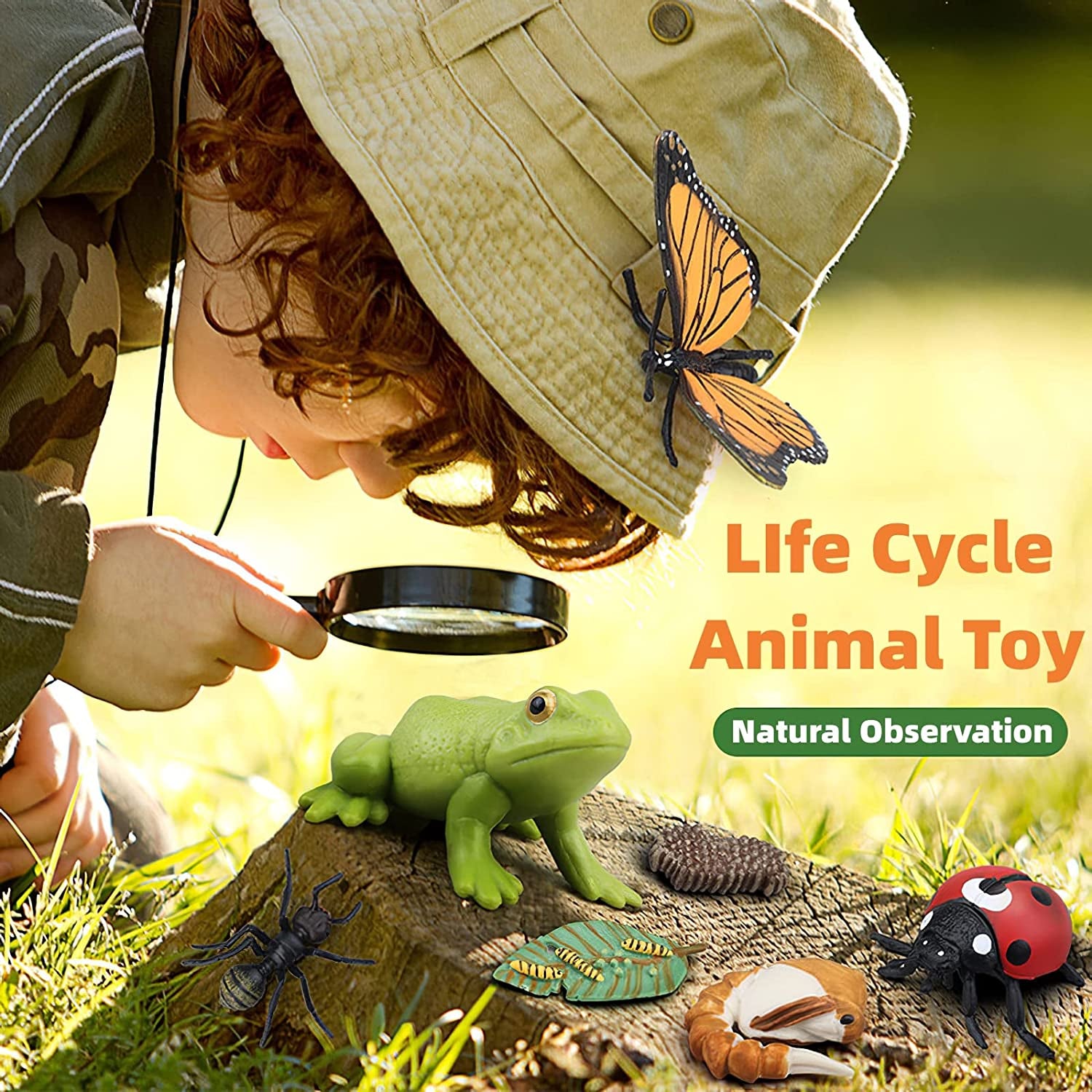 Montessori Frog Life Cycle toy set with realistic plastic frog, tadpole, and insect figurines and flash cards for educational play.