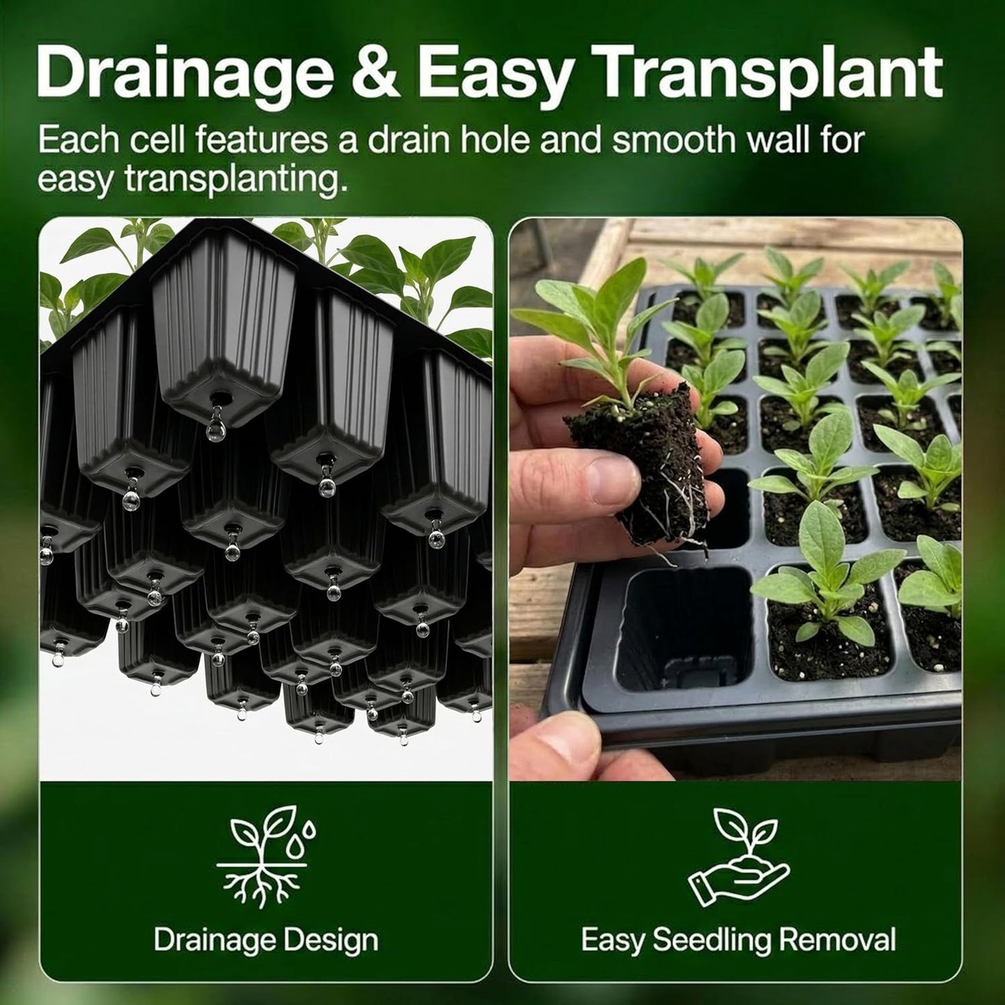 My Store 5-set seed starter tray kits with humidity vented domes, 200-cell plant germination trays for indoor gardening and seed starting