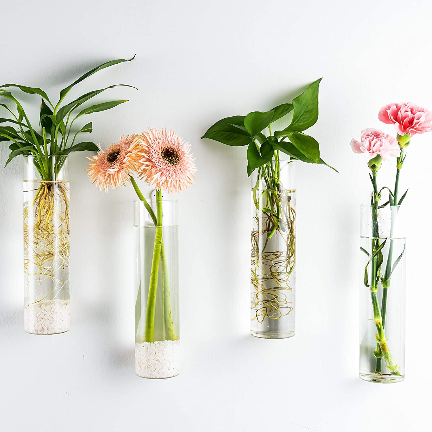 Wall-mounted plant terrarium propagation station with four hanging glass tubes for hydroponic plants and indoor decor.