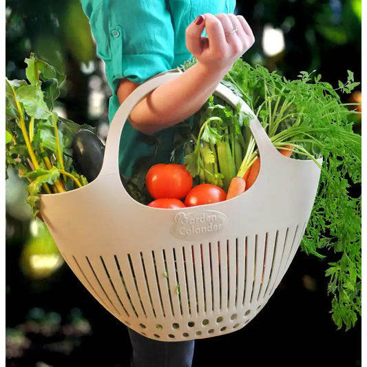 Pink garden colander harvest basket with handles, perfect for gathering and rinsing fresh produce in the garden.