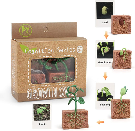 Realistic Montessori life cycle animal figurines with flash cards, showing a plant life cycle for educational toddler play.